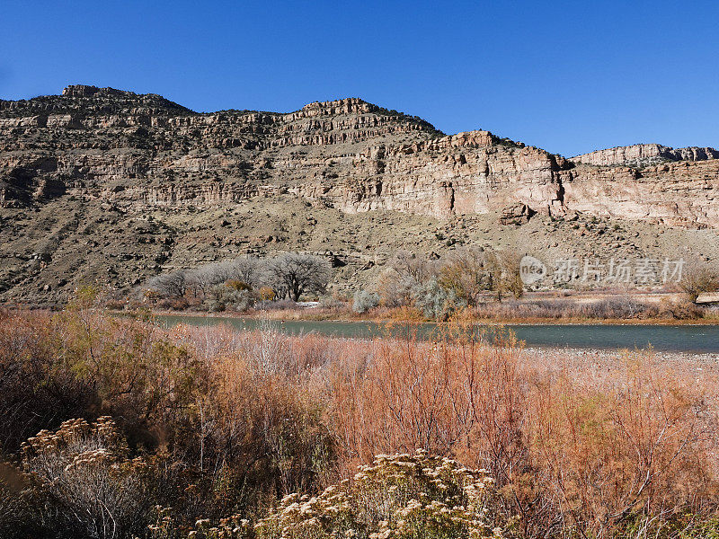 科罗拉多河秋季低流量与陡峭的峡谷墙附近的Grand Junction，科罗拉多州。